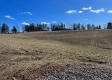 Tract 3 – McGrath Rd & Chase Rd property photo