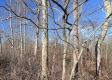 Tract 6 - McGrath Road property photo