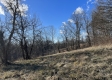 Tract 6 - McGrath Road property photo