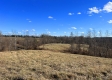 More of Tract 6 - McGrath Road