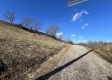 More of Tract 6 - McGrath Road