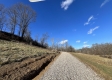 More of Tract 6 - McGrath Road