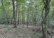Lot 6 at Perry Ridge property photo