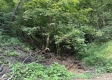 Lot 6 at Perry Ridge property photo