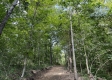 Lot 6 at Perry Ridge property photo