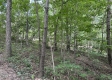 Lot 6 at Perry Ridge property photo
