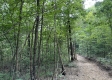 Lot 6 at Perry Ridge property photo