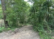 Lot 6 at Perry Ridge property photo