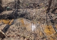 Lot 1 at Scenic View Subdivision property photo