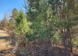 Lot 1 at Scenic View Subdivision property photo