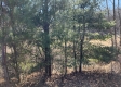 Lot 1 at Scenic View Subdivision property photo