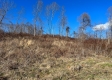 Tract 8 – McGrath Road property photo