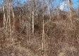 Tract 8 – McGrath Road property photo