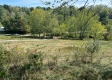 More of Tract 7 – McGrath Road