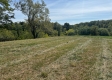 More of Tract 7 – McGrath Road