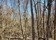 Lot 4 at Scenic View Subdivision property photo
