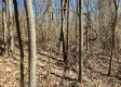 Lot 4 at Scenic View Subdivision property photo