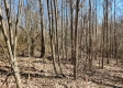 Lot 4 at Scenic View Subdivision property photo