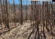 Lot 4 at Scenic View Subdivision property photo