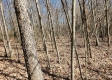 Lot 4 at Scenic View Subdivision property photo