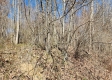 Lot 4 at Scenic View Subdivision property photo