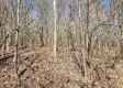Lot 4 at Scenic View Subdivision property photo