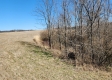 More of Lot 4 at Scenic View Subdivision