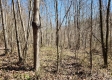 Lot 4 at Scenic View Subdivision property photo