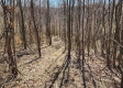 Lot 5 at Scenic View Subdivision property photo