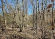 Lot 5 at Scenic View Subdivision property photo