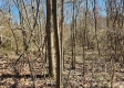 Lot 5 at Scenic View Subdivision property photo