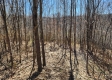 Lot 5 at Scenic View Subdivision property photo