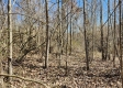 Lot 5 at Scenic View Subdivision property photo