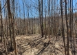 Lot 5 at Scenic View Subdivision property photo