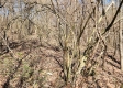 Lot 5 at Scenic View Subdivision property photo