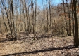 Lot 5 at Scenic View Subdivision property photo