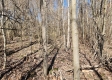 Lot 5 at Scenic View Subdivision property photo