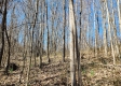Lot 5 at Scenic View Subdivision property photo