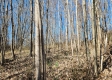 Lot 5 at Scenic View Subdivision property photo