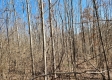 Lot 5 at Scenic View Subdivision property photo