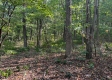 Blue Jay Cabin property photo
