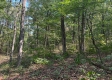 Blue Jay Cabin property photo