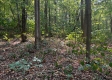 Blue Jay Cabin property photo
