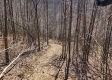Lot 6 at Scenic View Subdivision property photo