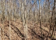 Lot 6 at Scenic View Subdivision property photo