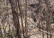 Lot 6 at Scenic View Subdivision property photo
