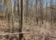 More of Lot 6 at Scenic View Subdivision