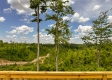 A-Frame of Mind Cabin at Huston Hills property photo