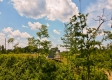 A-Frame of Mind Cabin at Huston Hills property photo