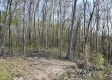 Huston Hills Retreat Cabin property photo